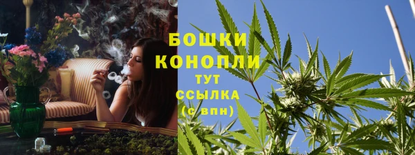 Альфа ПВП Рославль