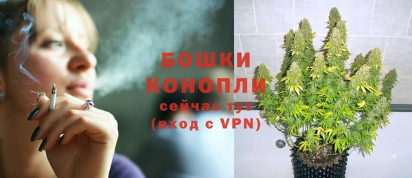Альфа ПВП Рославль